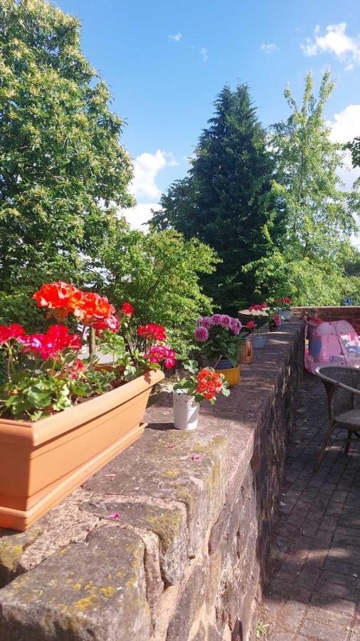 Privat Appartment Fockelberg Екстериор снимка